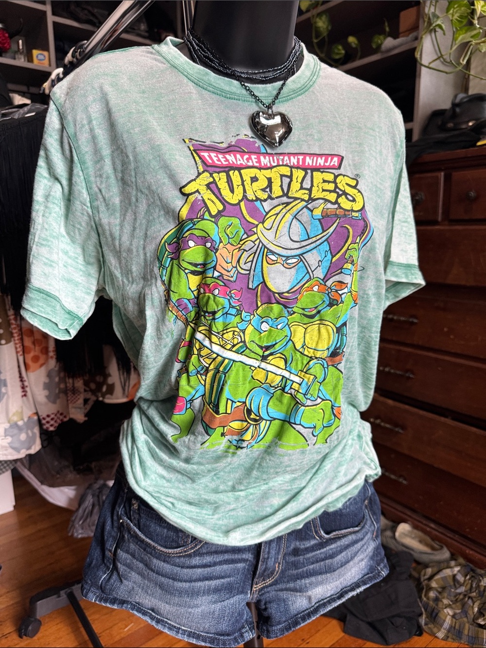 Teenage Mutant Ninja Turtles Graphic Tee - Mint Green